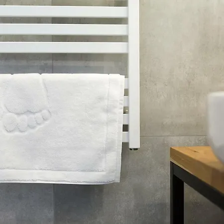 Loft דירה פוזנן