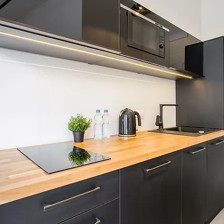 Loft Lejlighed Poznań